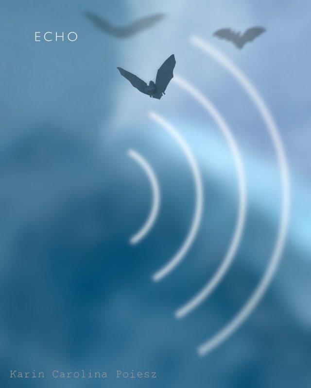ECHO
“Three bats flying in a blue sky with white sound waves showing an echo.”